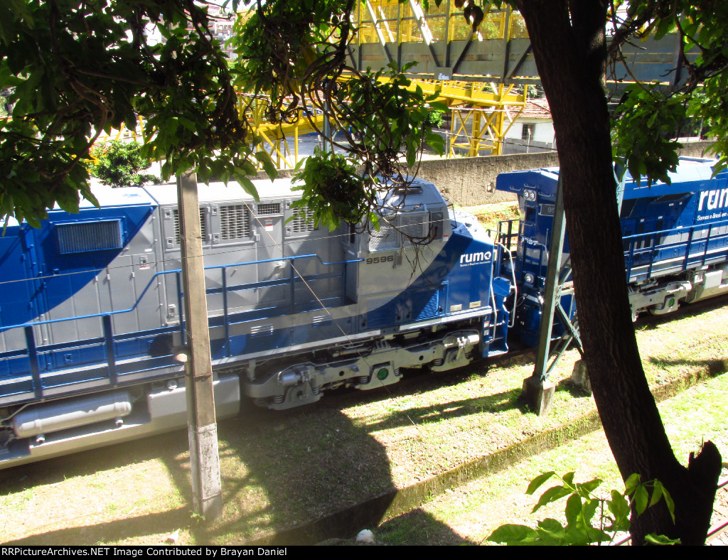 RUMO 9596